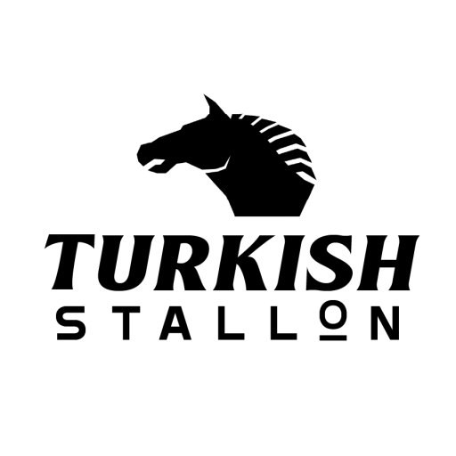 Turkish Stallion